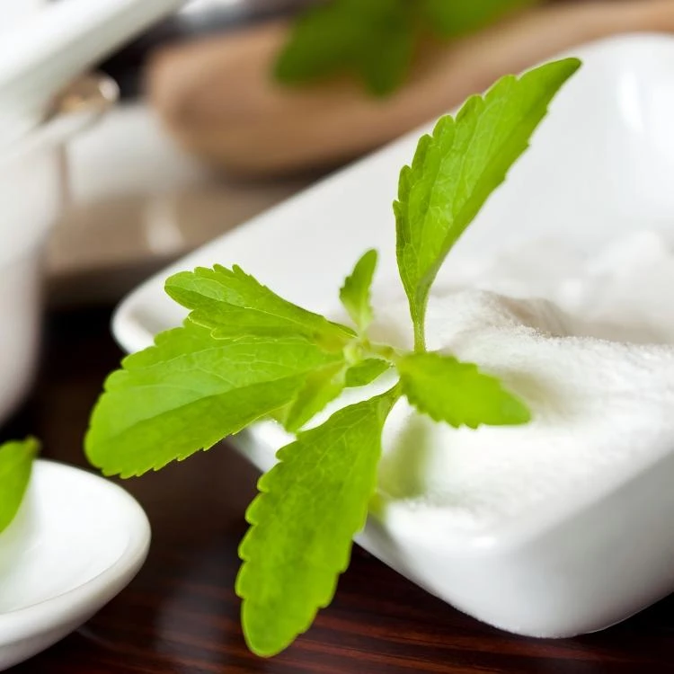 Ingvia®M+ Stevia-Mischungen